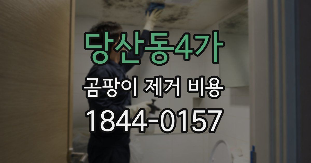 당산동4가 곰팡이 제거 비용