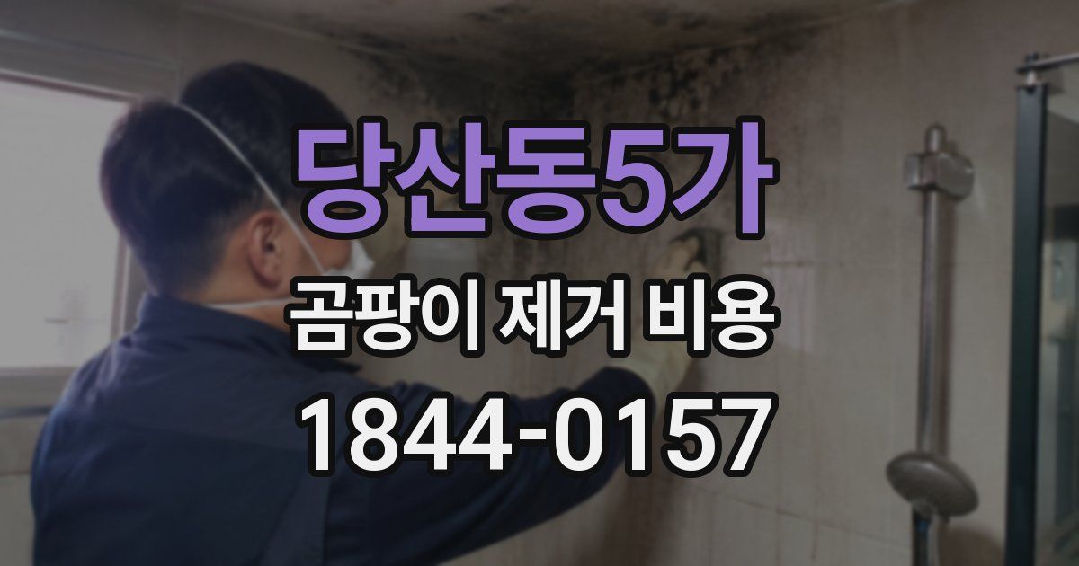 당산동5가 곰팡이 제거 비용
