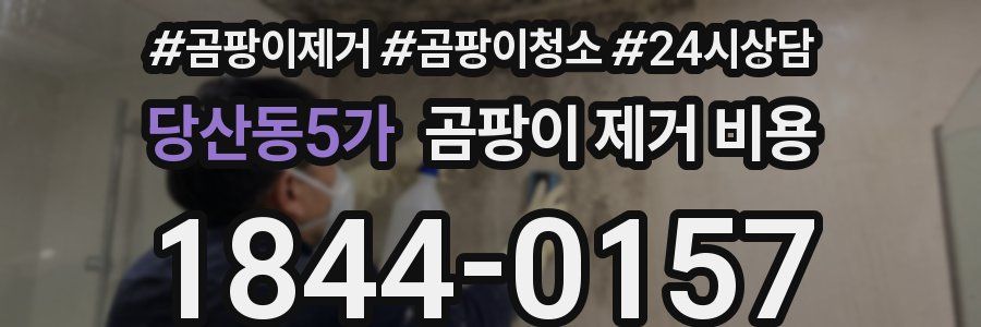 당산동5가 곰팡이 제거 비용