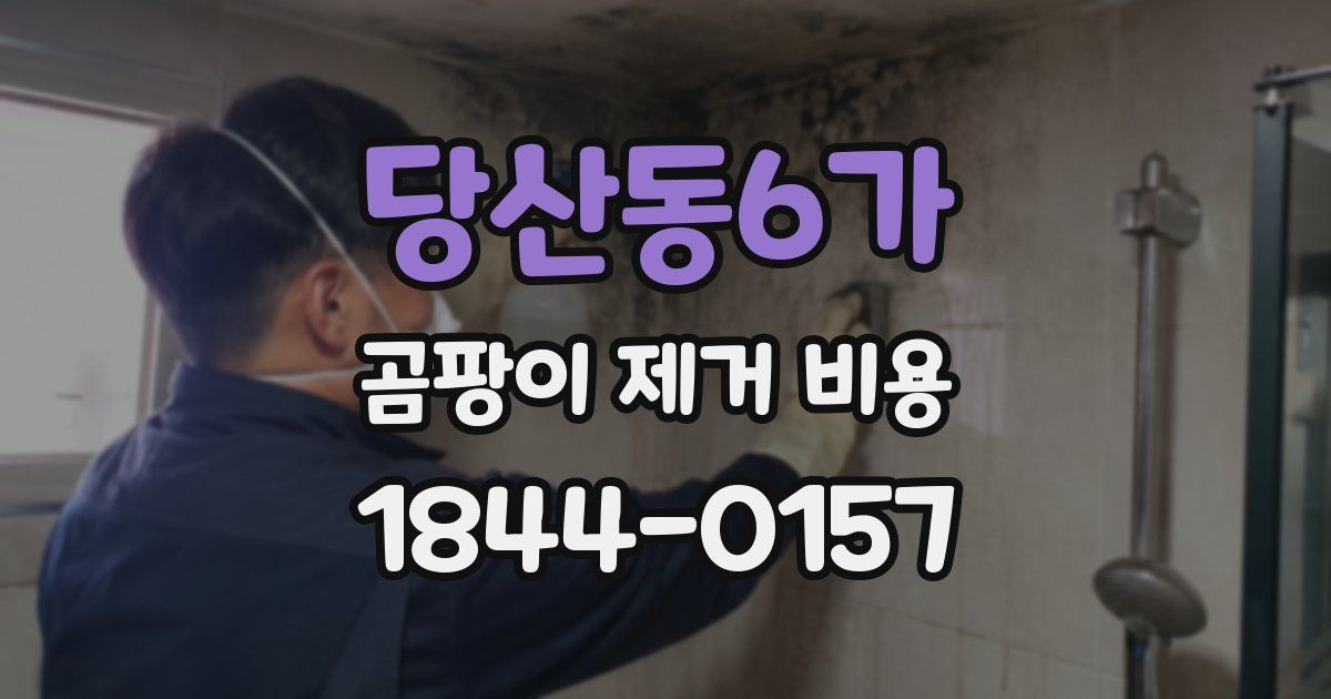 당산동6가 곰팡이 제거 비용