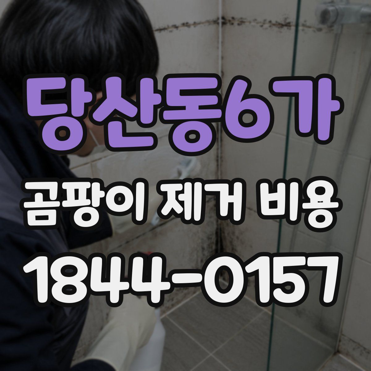 당산동6가 곰팡이 제거 비용
