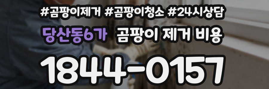 당산동6가 곰팡이 제거 비용