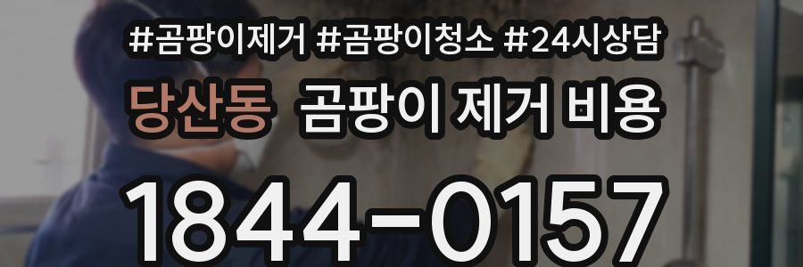 당산동 곰팡이 제거 비용