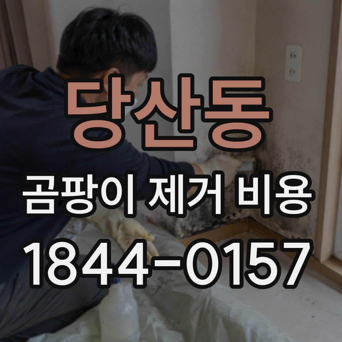 당산동 곰팡이 제거 비용