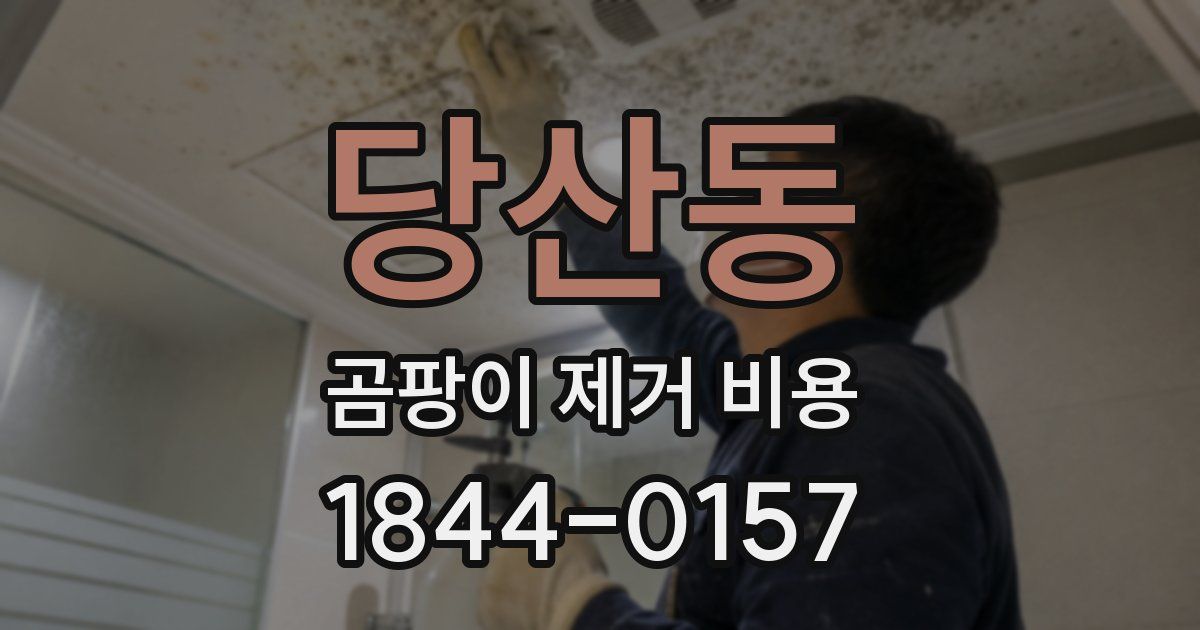 당산동 곰팡이 제거 비용