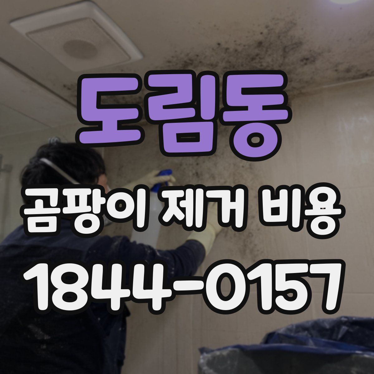 도림동 곰팡이 제거 비용