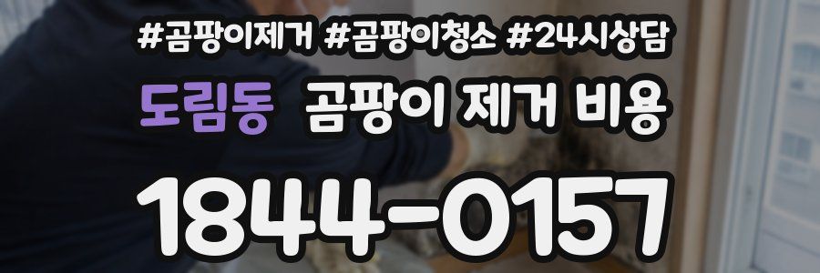 도림동 곰팡이 제거 비용