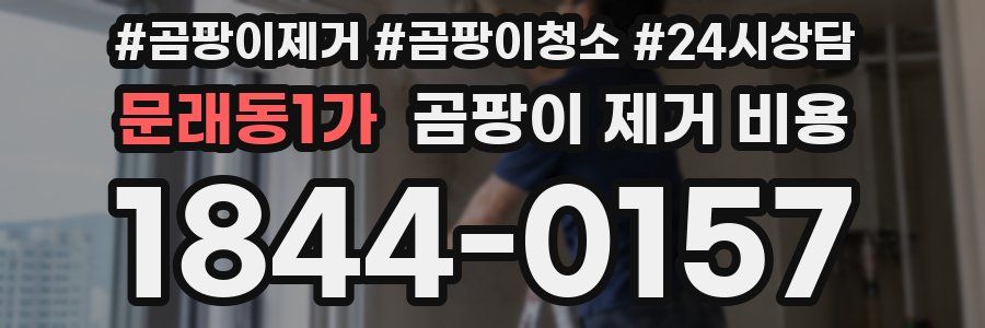 문래동1가 곰팡이 제거 비용