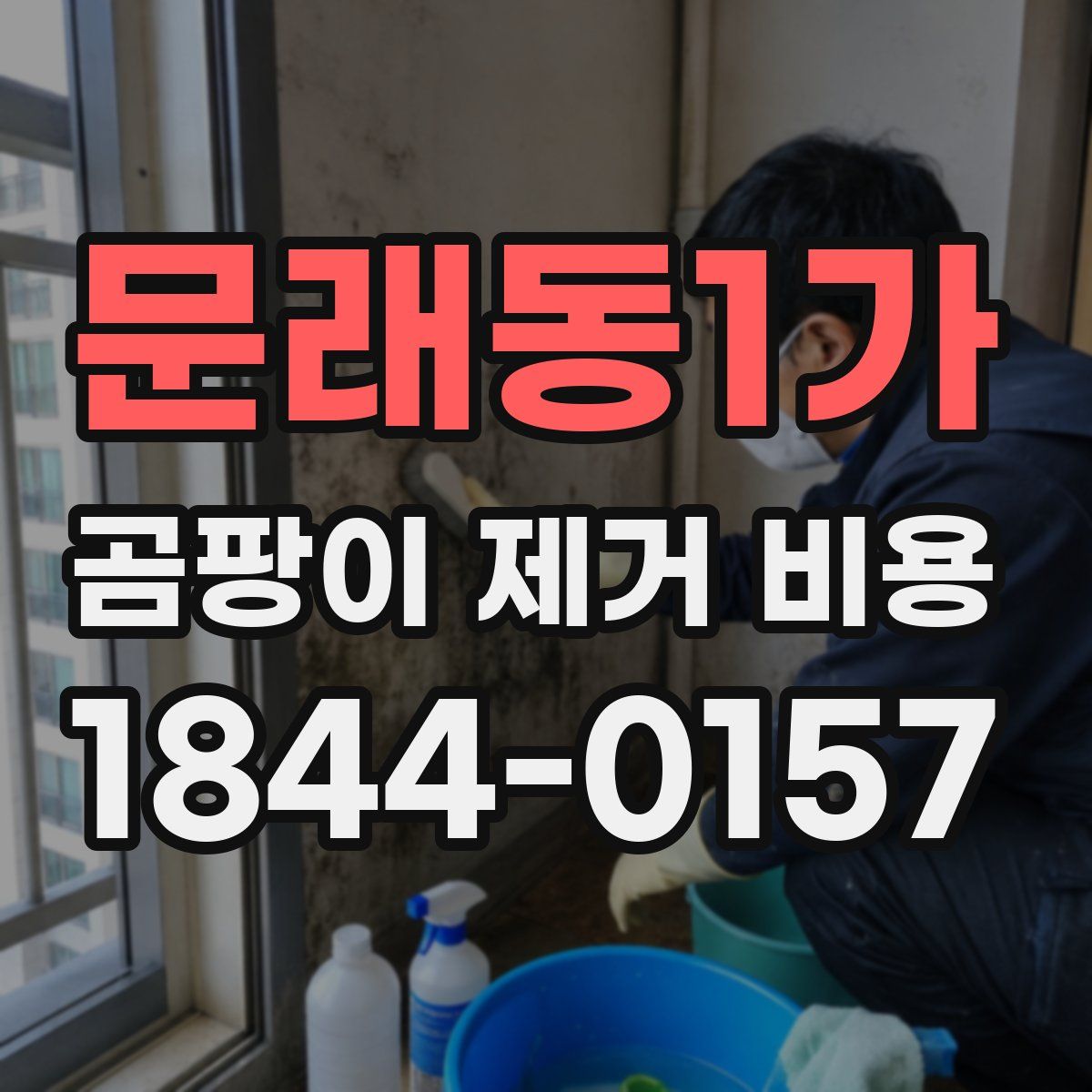 문래동1가 곰팡이 제거 비용