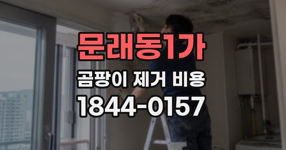 문래동1가 곰팡이 제거 비용