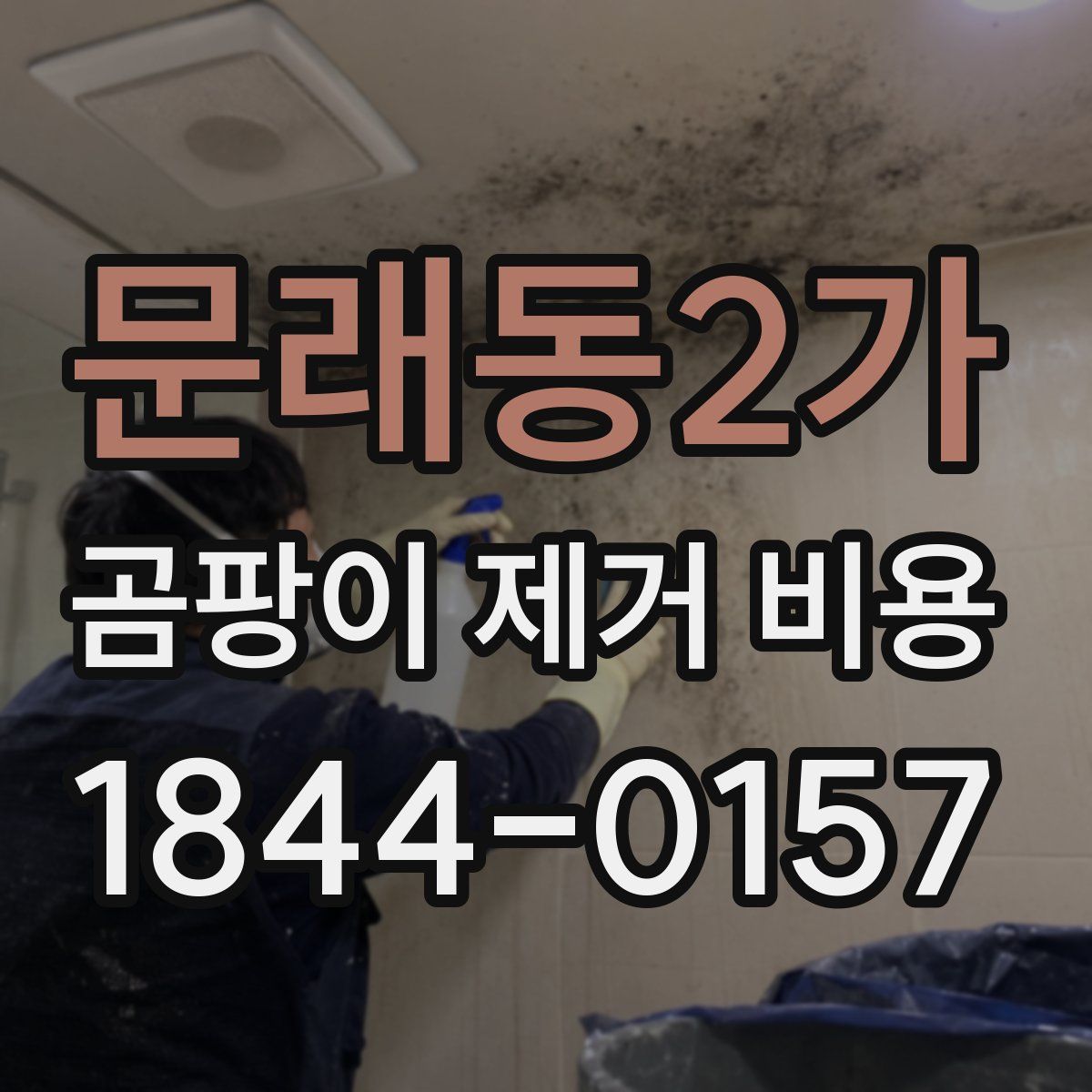 문래동2가 곰팡이 제거 비용