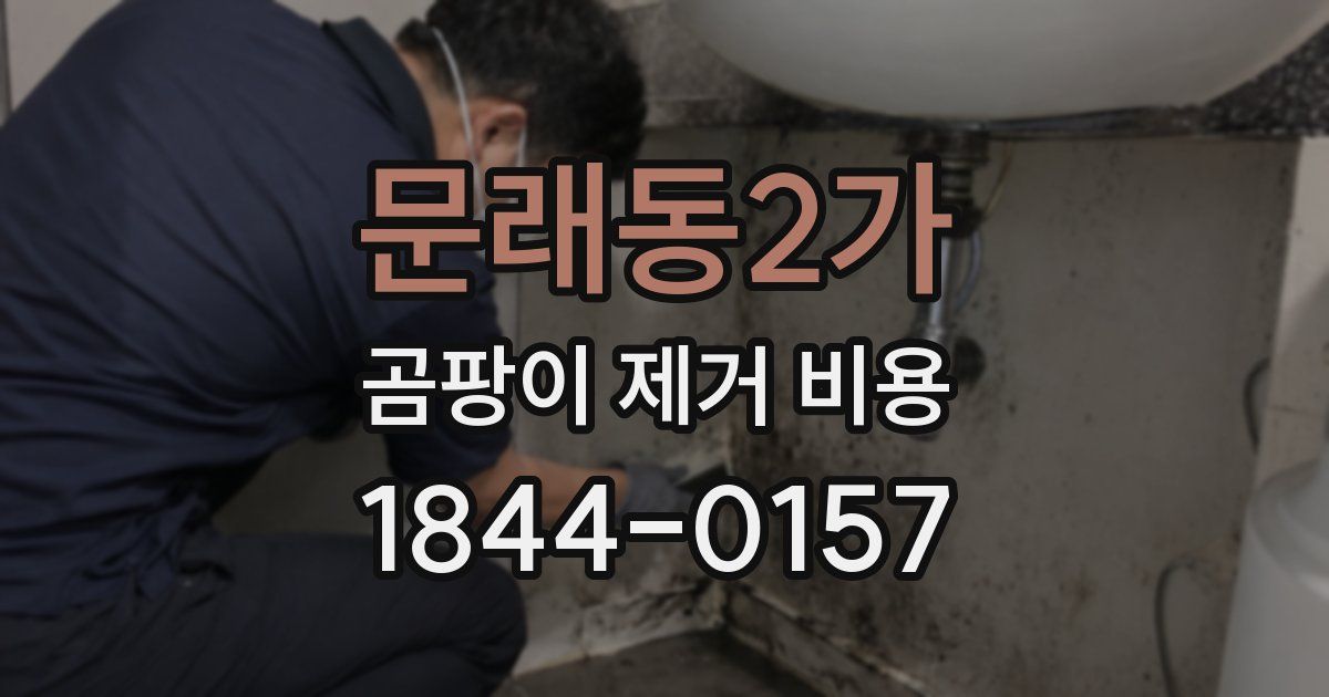 문래동2가 곰팡이 제거 비용