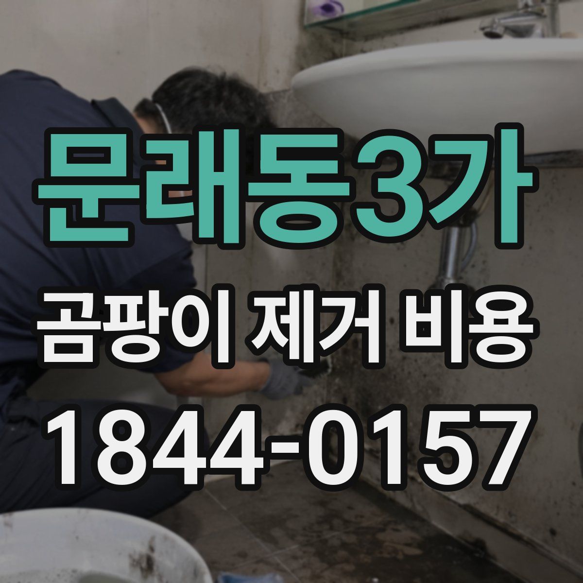 문래동3가 곰팡이 제거 비용