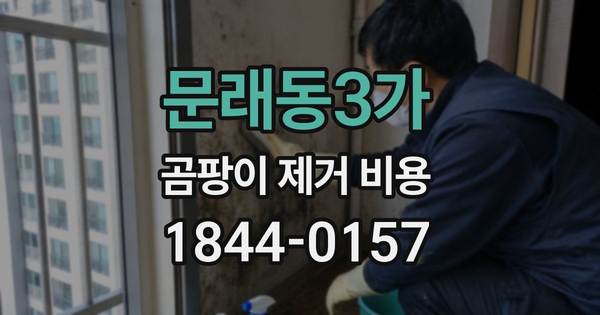 문래동3가 곰팡이 제거 비용
