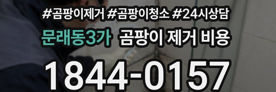 문래동3가 곰팡이 제거 비용