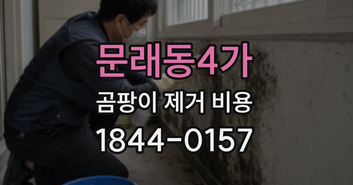 문래동4가 곰팡이 제거 비용