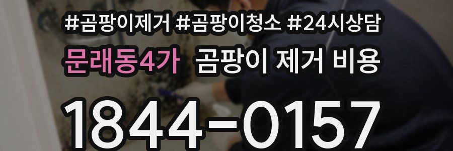 문래동4가 곰팡이 제거 비용
