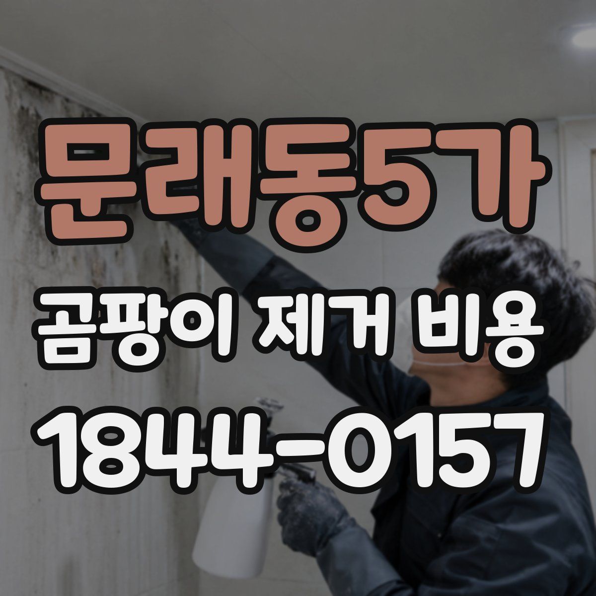 문래동5가 곰팡이 제거 비용