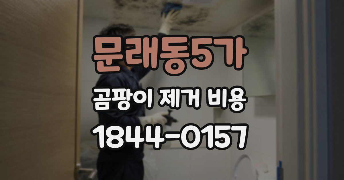 문래동5가 곰팡이 제거 비용