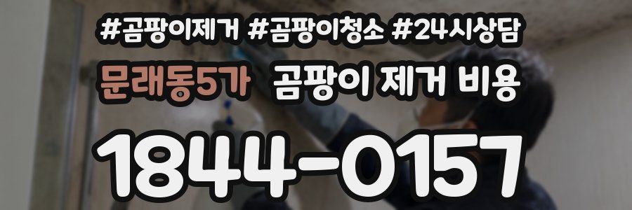 문래동5가 곰팡이 제거 비용