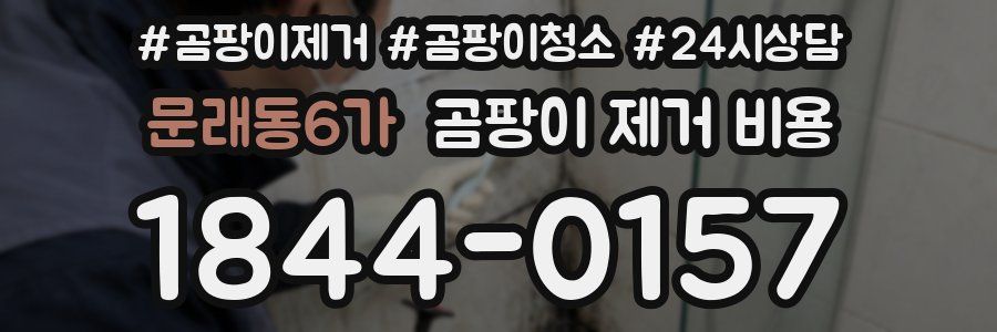 문래동6가 곰팡이 제거 비용