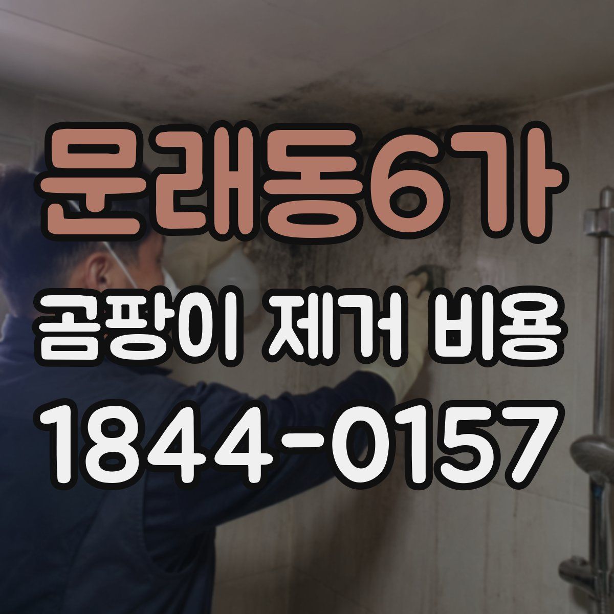 문래동6가 곰팡이 제거 비용