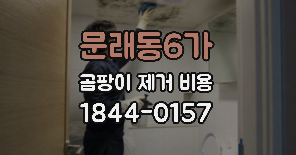 문래동6가 곰팡이 제거 비용
