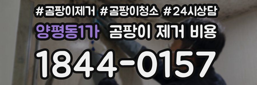 양평동1가 곰팡이 제거 비용