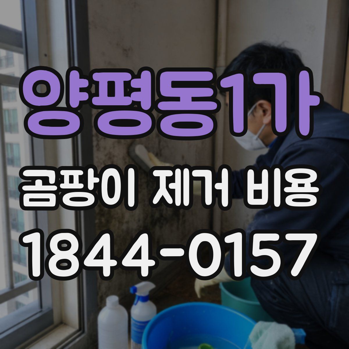 양평동1가 곰팡이 제거 비용