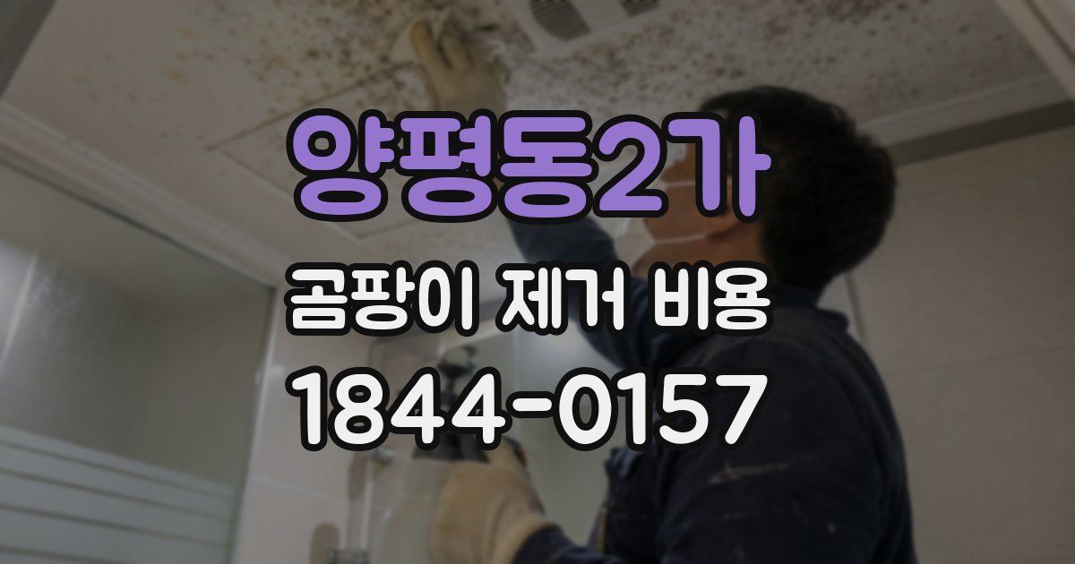 양평동2가 곰팡이 제거 비용