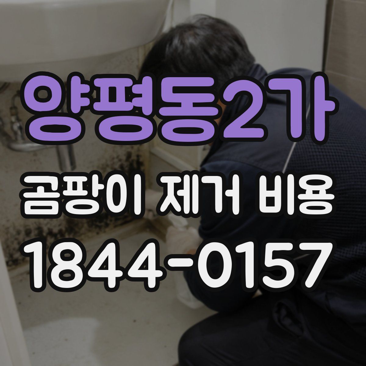양평동2가 곰팡이 제거 비용