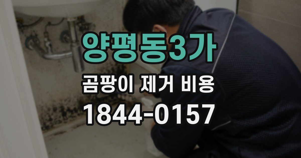양평동3가 곰팡이 제거 비용