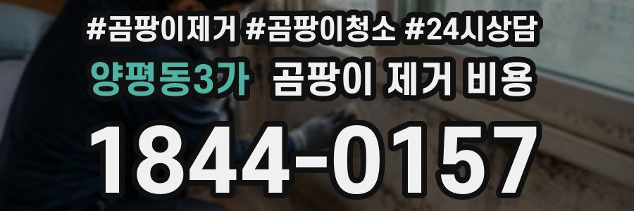 양평동3가 곰팡이 제거 비용