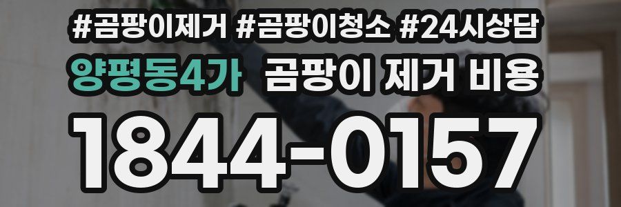 양평동4가 곰팡이 제거 비용