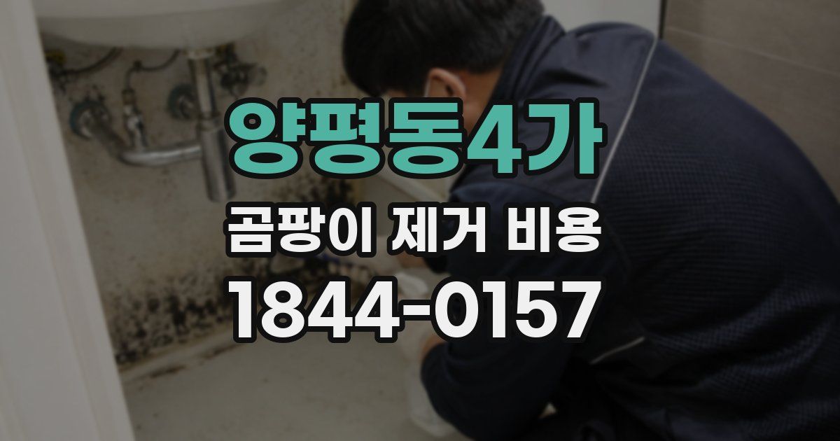 양평동4가 곰팡이 제거 비용
