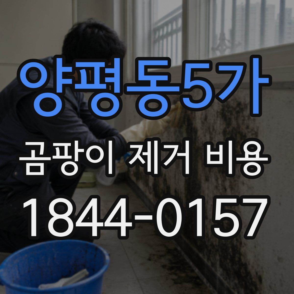 양평동5가 곰팡이 제거 비용