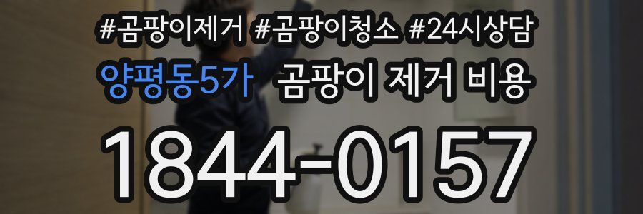 양평동5가 곰팡이 제거 비용