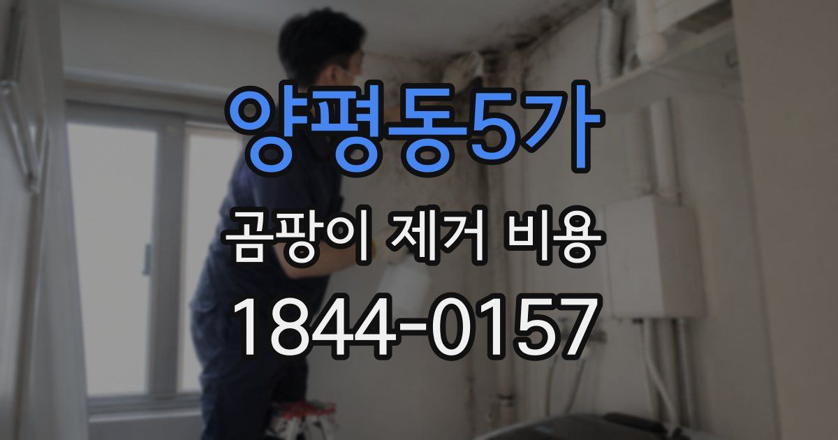 양평동5가 곰팡이 제거 비용