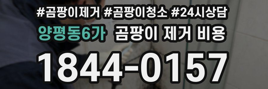 양평동6가 곰팡이 제거 비용
