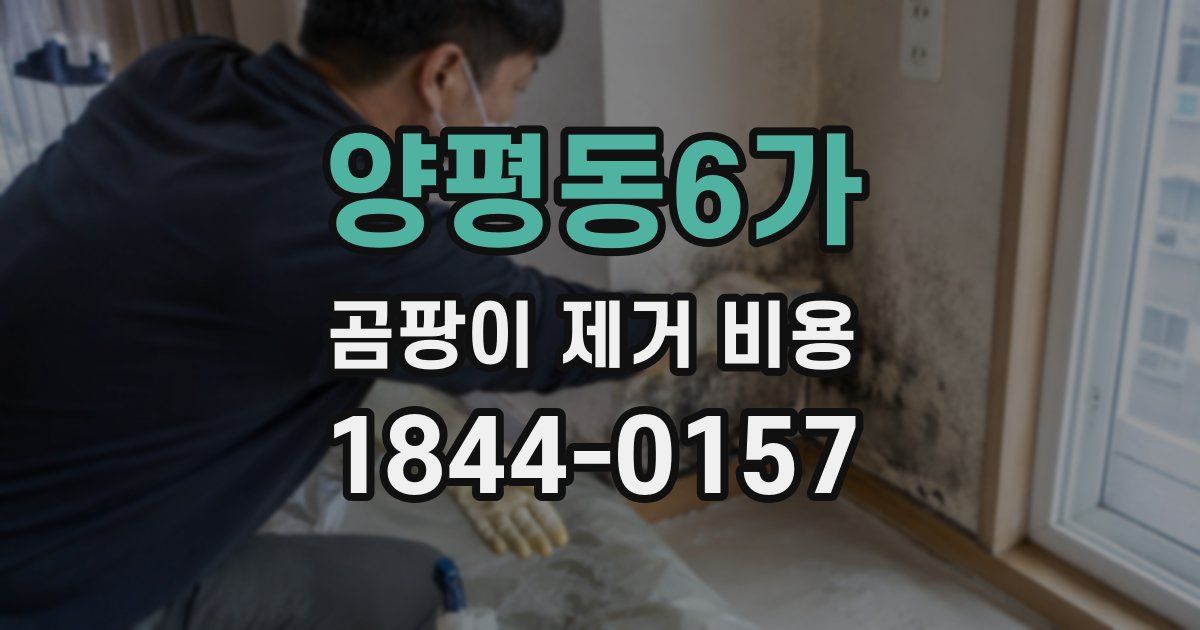 양평동6가 곰팡이 제거 비용