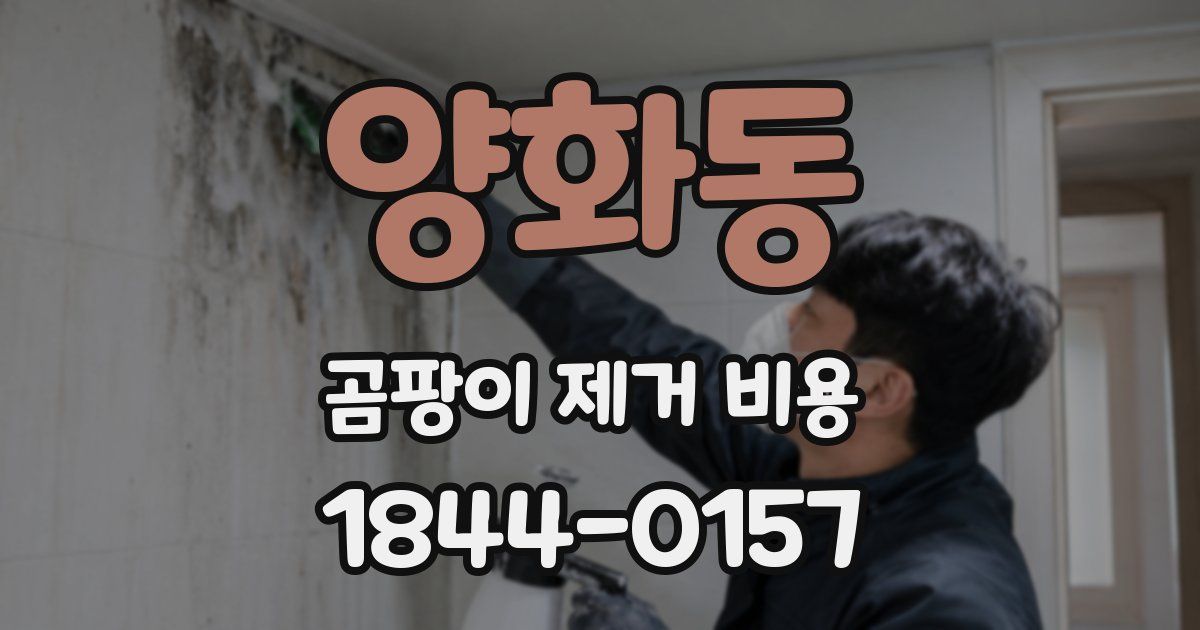 양화동 곰팡이 제거 비용