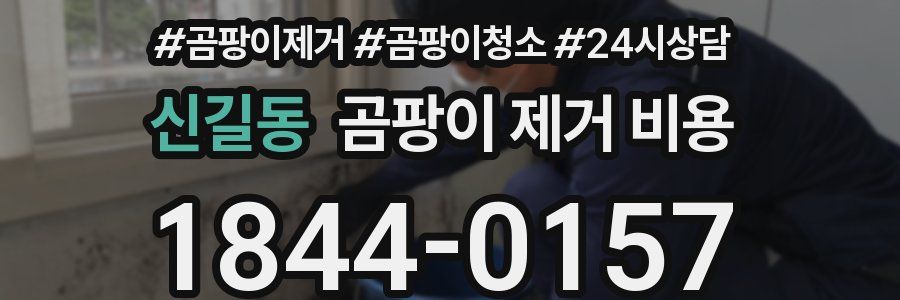 신길동 곰팡이 제거 비용