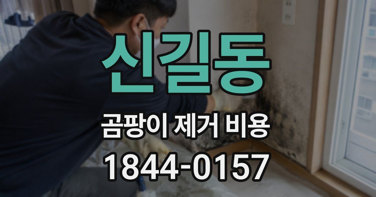 신길동 곰팡이 제거 비용