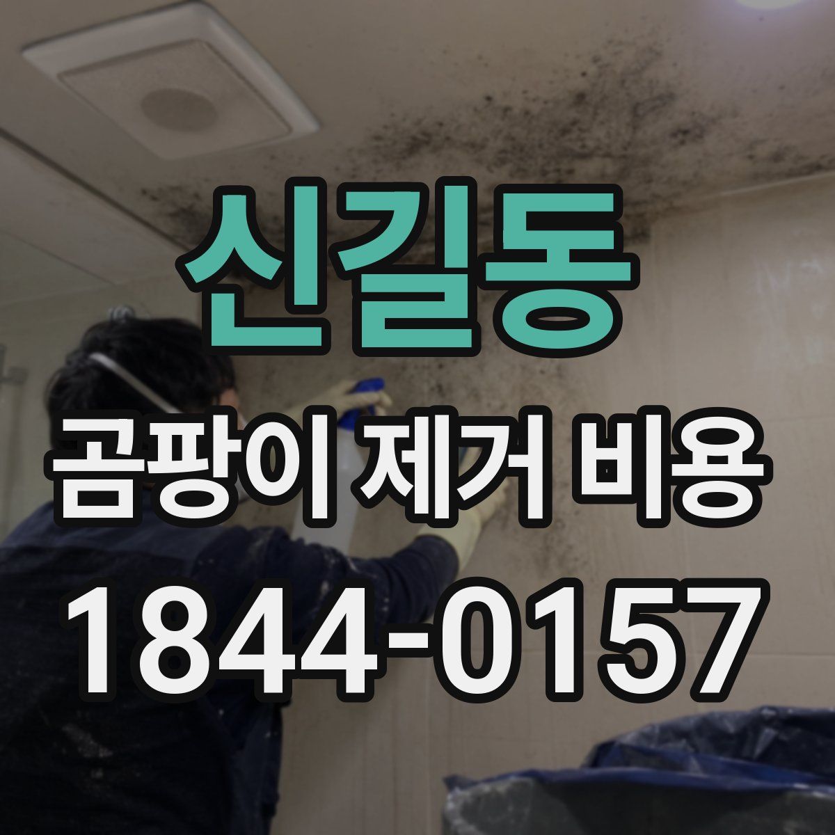 신길동 곰팡이 제거 비용
