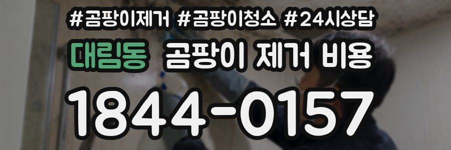 대림동 곰팡이 제거 비용