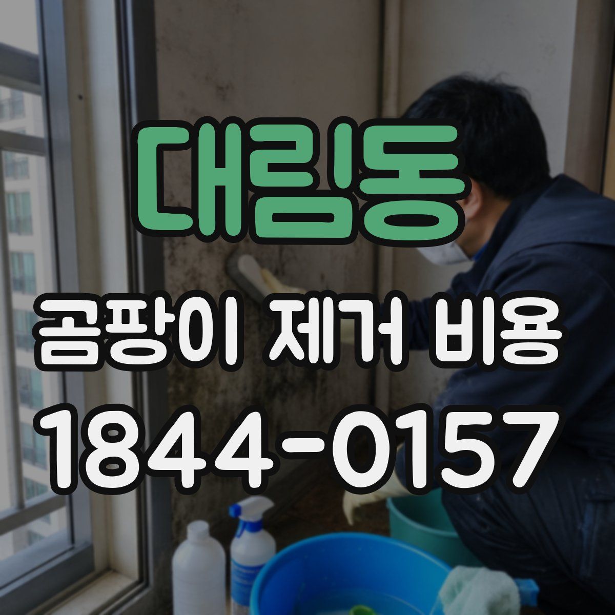 대림동 곰팡이 제거 비용