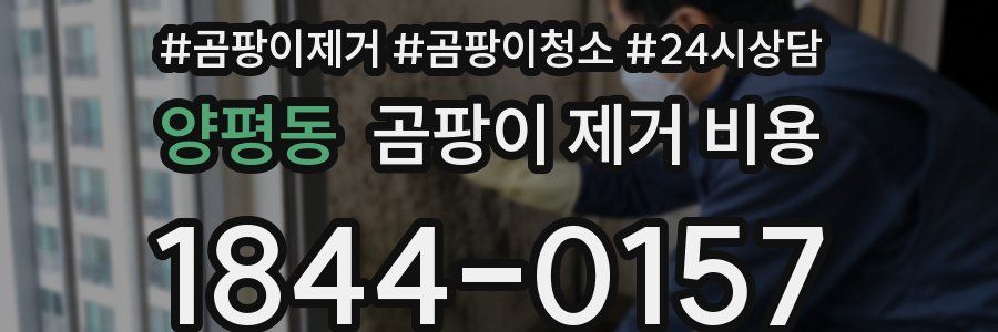 양평동 곰팡이 제거 비용