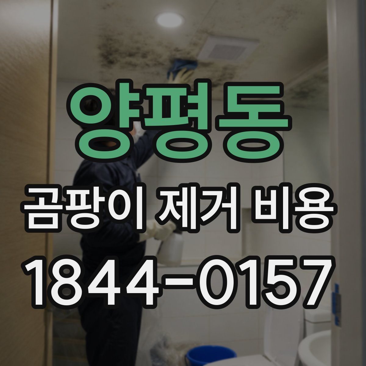 양평동 곰팡이 제거 비용