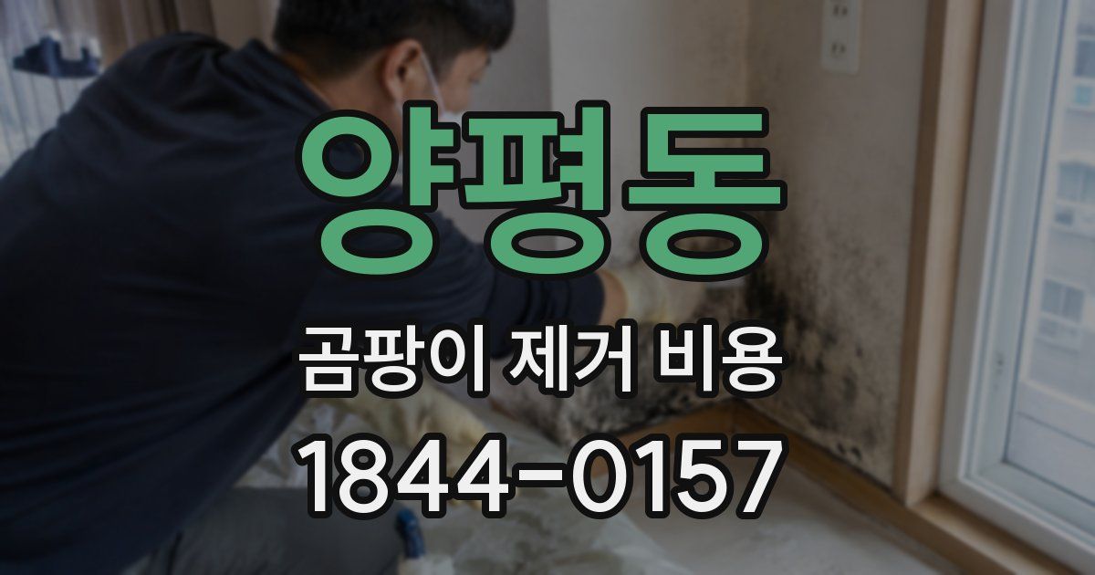 양평동 곰팡이 제거 비용