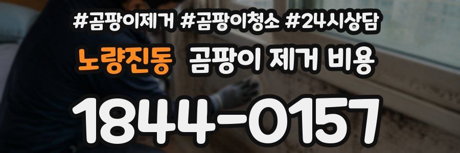 노량진동 곰팡이 제거 비용